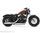 Harley Davidson Sportster Forty-Eight
